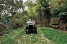 Kumbhalgarh Safari Kumbhalgarh Safari